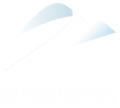 bravend-v200 bravend-v200